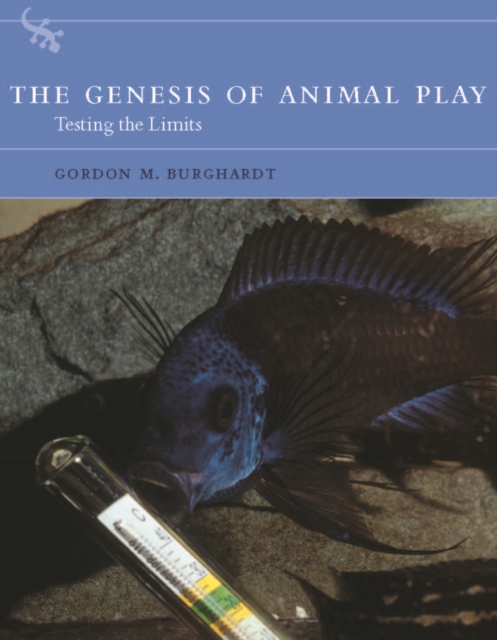 The Genesis of Animal Play : Testing the Limits, PDF eBook