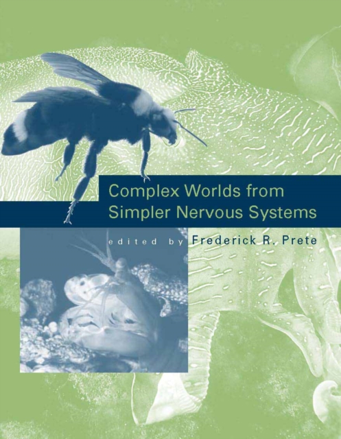 Complex Worlds from Simpler Nervous Systems, PDF eBook