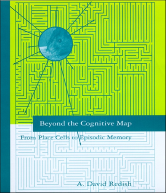 Beyond the Cognitive Map : From Place Cells to Episodic Memory, PDF eBook