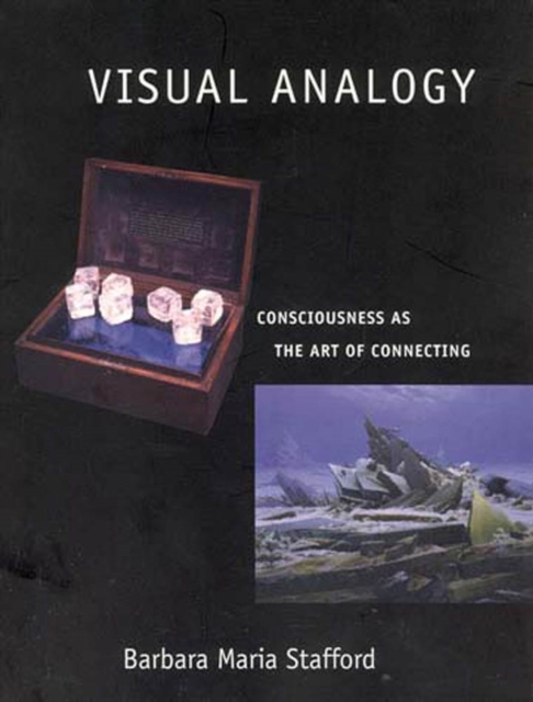 Visual Analogy : Consciousness as the Art of Connecting, PDF eBook