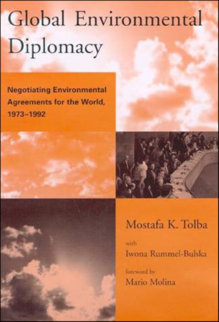 Global Environmental Diplomacy : Negotiating Environmental Agreements for the World, 1973-1992, PDF eBook