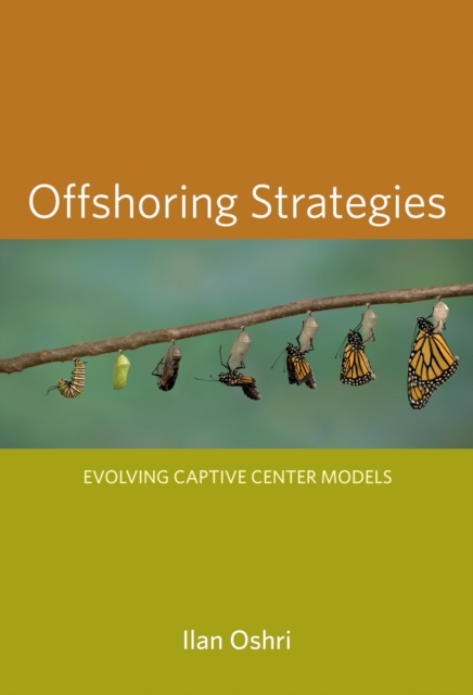 Offshoring Strategies, EPUB eBook