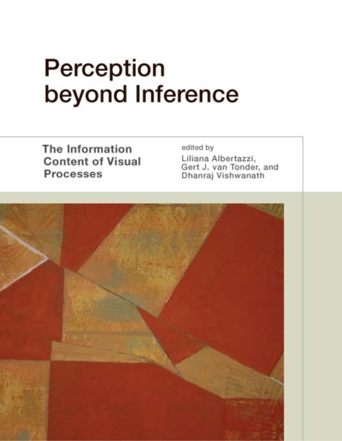 Perception beyond Inference : The Information Content of Visual Processes, PDF eBook