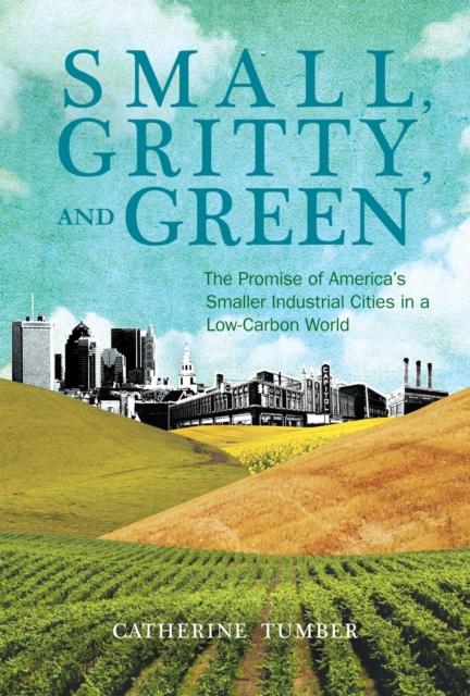 Small, Gritty, and Green : The Promise of America's Smaller Industrial Cities in a Low-Carbon World, PDF eBook