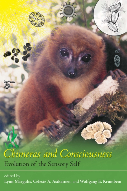 Chimeras and Consciousness : Evolution of the Sensory Self, PDF eBook
