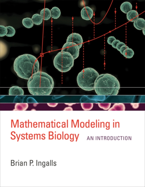 Mathematical Modeling in Systems Biology : An Introduction, PDF eBook
