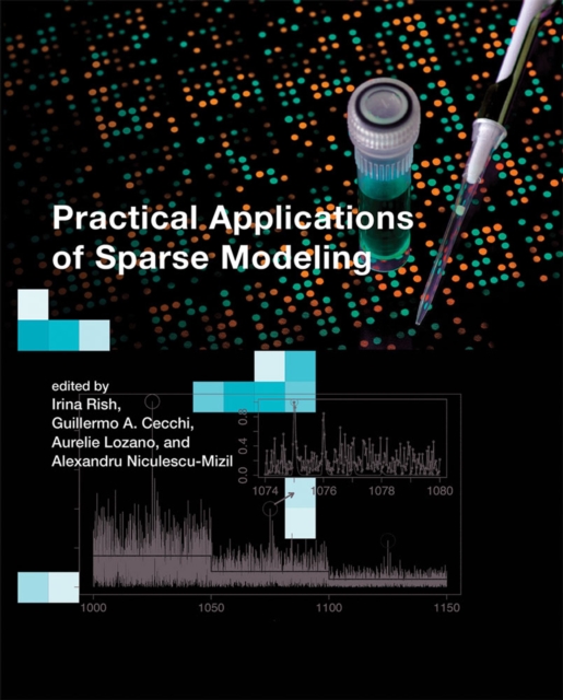 Practical Applications of Sparse Modeling, PDF eBook