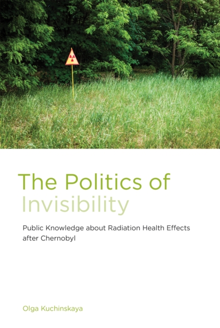 Politics of Invisibility, EPUB eBook