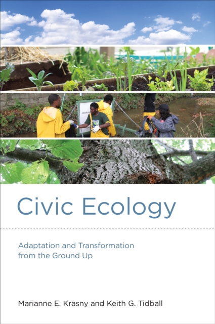 Civic Ecology : Adaptation and Transformation from the Ground Up, PDF eBook