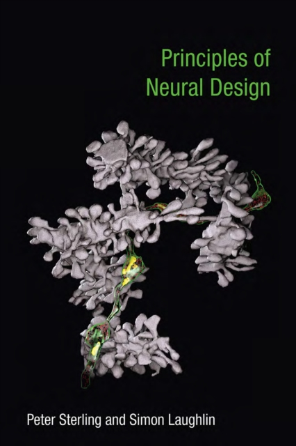 Principles of Neural Design, PDF eBook