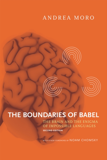 The Boundaries of Babel : The Brain and the Enigma of Impossible Languages, EPUB eBook