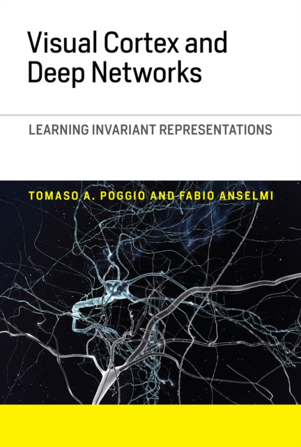 Visual Cortex and Deep Networks : Learning Invariant Representations, PDF eBook