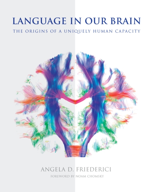 Language in Our Brain : The Origins of a Uniquely Human Capacity, PDF eBook