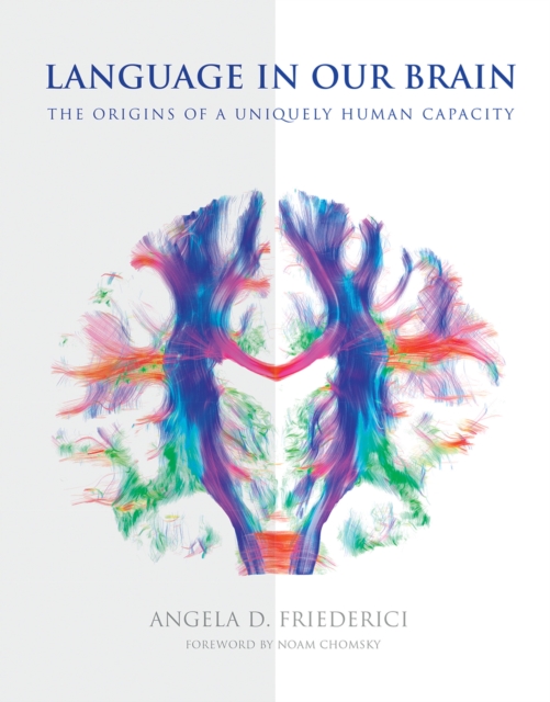 Language in Our Brain, EPUB eBook
