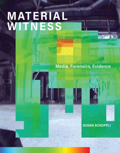 MATERIAL WITNESS, EPUB eBook