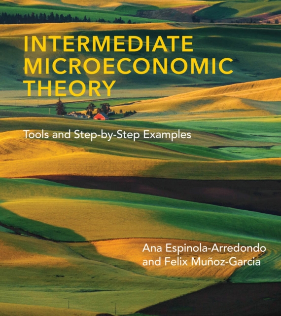 Intermediate Microeconomic Theory : Tools and Step-by-Step Examples, PDF eBook