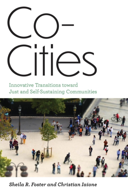 Co-Cities : Innovative Transitions toward Just and Self-Sustaining Communities, PDF eBook