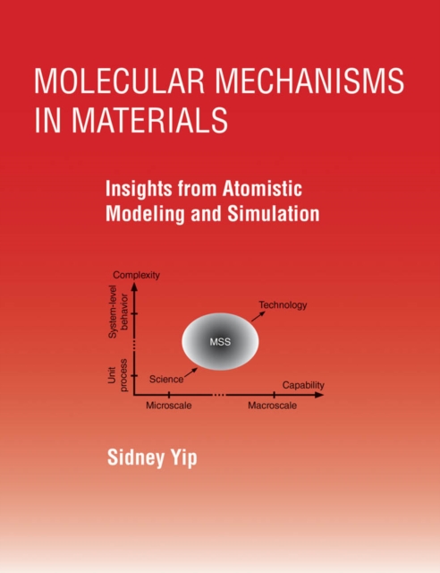 Molecular Mechanisms in Materials : Insights from Atomistic Modeling and Simulation, PDF eBook