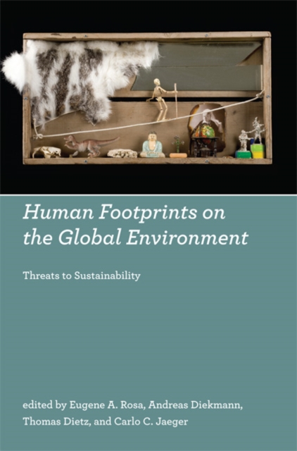 Human Footprints on the Global Environment : Threats to Sustainability, Paperback / softback Book