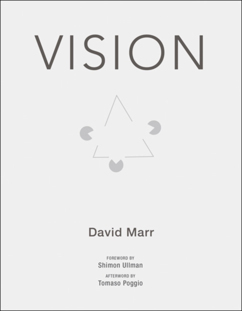 Vision : A Computational Investigation into the Human Representation and Processing of Visual Information, Paperback / softback Book