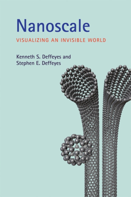 Nanoscale : Visualizing an Invisible World, Paperback / softback Book