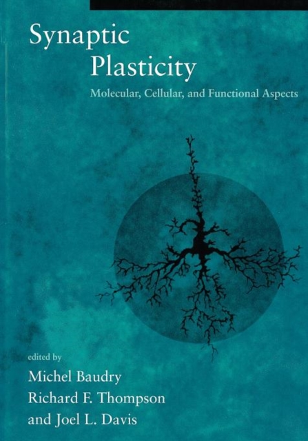 Synaptic Plasticity : Molecular, Cellular, and Functional Aspects, Paperback Book