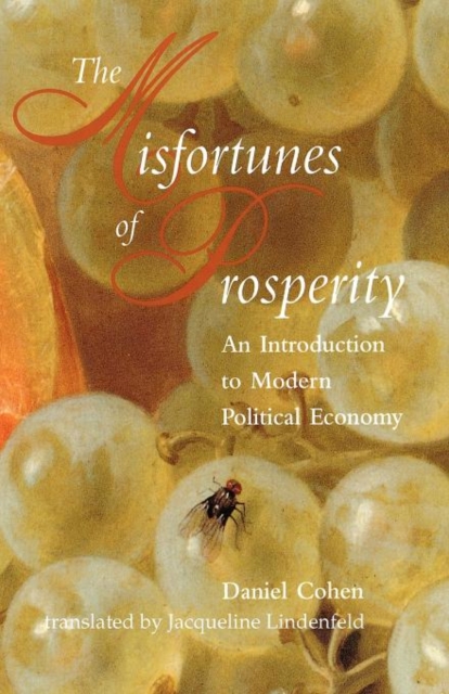 Misfortunes of Prosperity : An Introduction to Modern Political Economy, Paperback Book