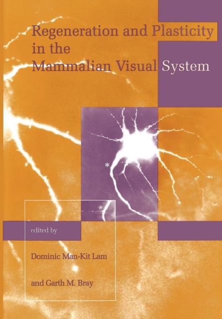 Regeneration and Plasticity in the Mammalian Visual System : Proceedings of the Retina Research Foundation Symposia, Paperback Book