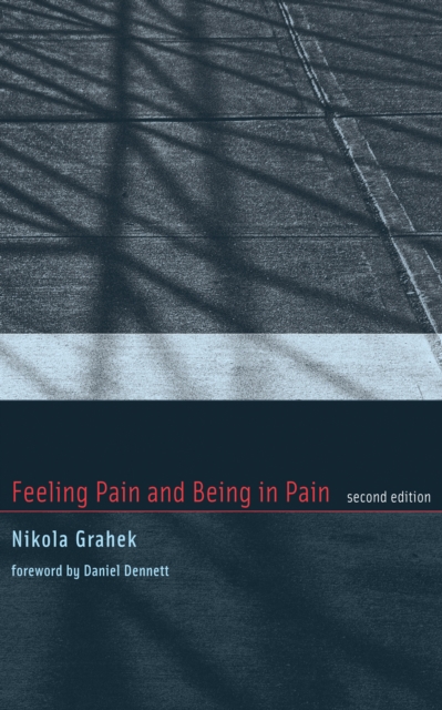 Feeling Pain and Being in Pain, Paperback / softback Book
