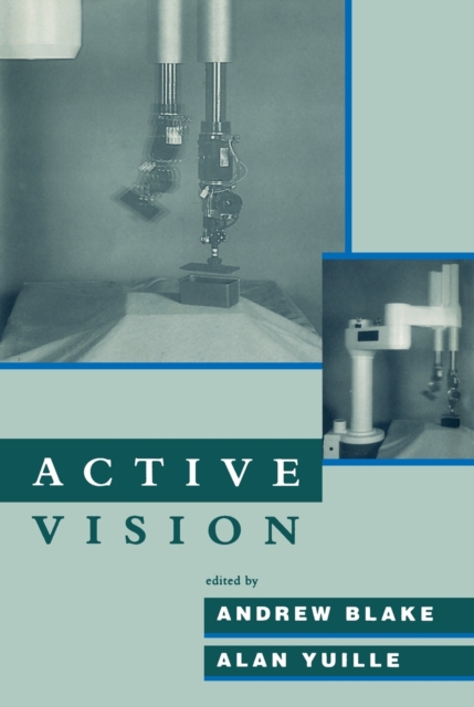 Active Vision, Paperback / softback Book