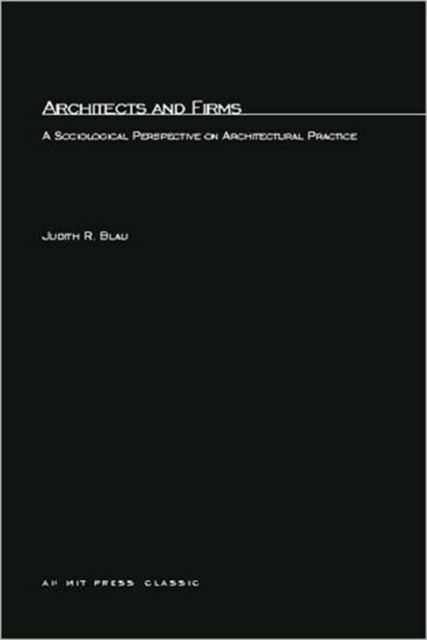 Architects and Firms : A Sociological Perspective on Architectural Practices, Paperback / softback Book