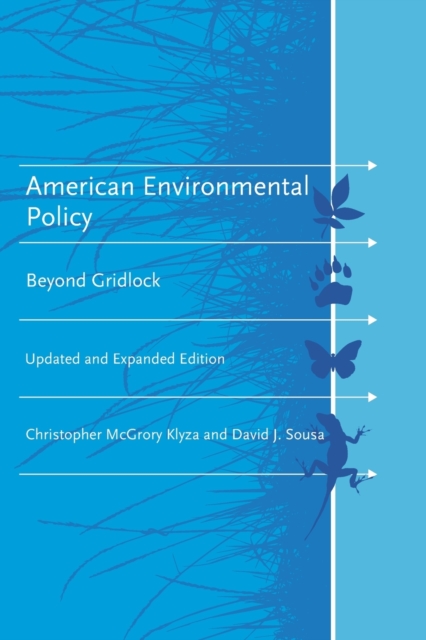 American Environmental Policy : Beyond Gridlock, Paperback / softback Book