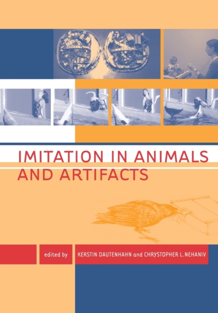 Imitation in Animals and Artifacts, Paperback / softback Book