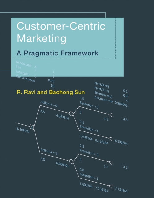 Customer-Centric Marketing : A Pragmatic Framework, Paperback / softback Book