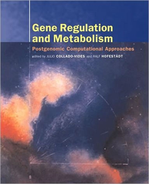 Gene Regulation and Metabolism : Post-Genomic Computational Approaches, Paperback / softback Book