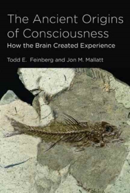 The Ancient Origins of Consciousness : How the Brain Created Experience, Paperback / softback Book