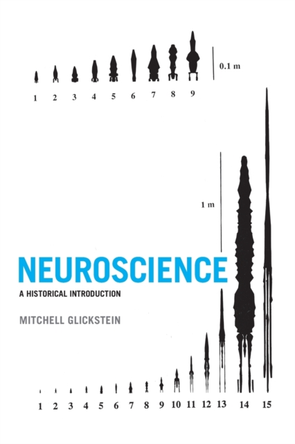 Neuroscience : A Historical Introduction, Paperback / softback Book