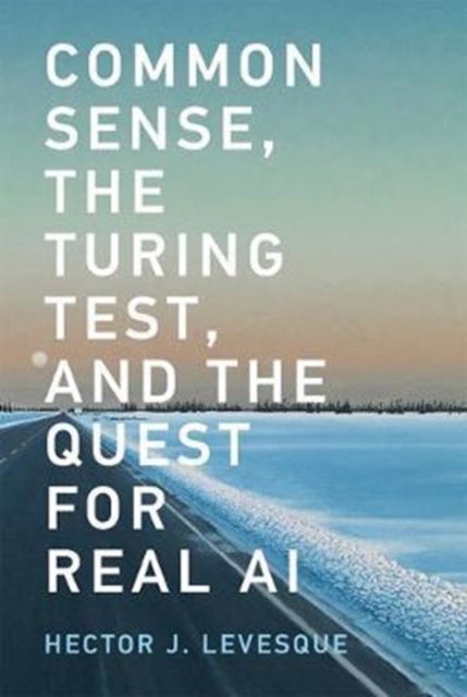 Common Sense, the Turing Test, and the Quest for Real AI, Paperback / softback Book