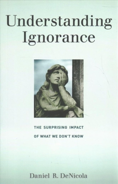 Understanding Ignorance : The Surprising Impact of What We Don't Know, Paperback / softback Book