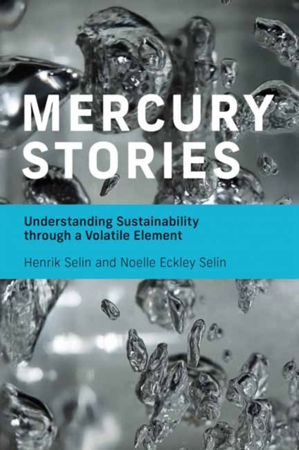 Mercury Stories,  Book