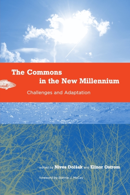The Commons in the New Millennium : Challenges and Adaptation, Paperback / softback Book