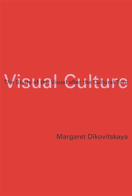 Visual Culture : The Study of the Visual after the Cultural Turn, Paperback / softback Book