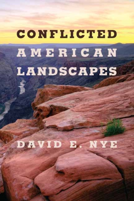 Conflicted American Landscapes, Paperback / softback Book