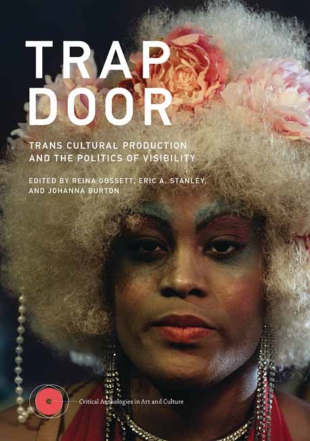 Trap Door : Trans Cultural Production and the Politics of Visibility , Paperback / softback Book