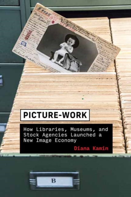Picture-Work : How Libraries, Museums, and Stock Agencies Launched a New Image Economy, Paperback / softback Book