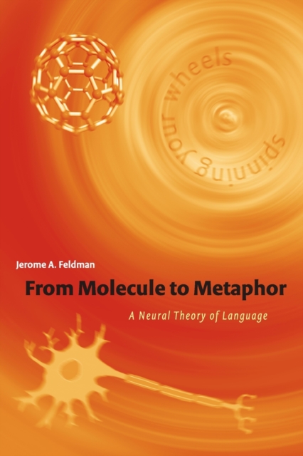 From Molecule to Metaphor : A Neural Theory of Language, Paperback / softback Book