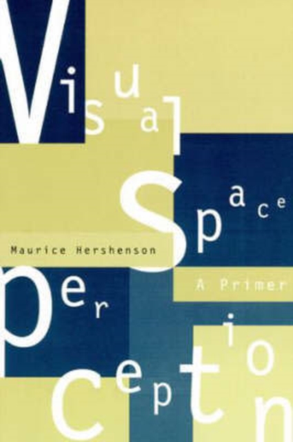 Visual Space Perception : A Primer, Paperback / softback Book
