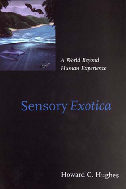 Sensory Exotica : A World beyond Human Experience, Paperback / softback Book
