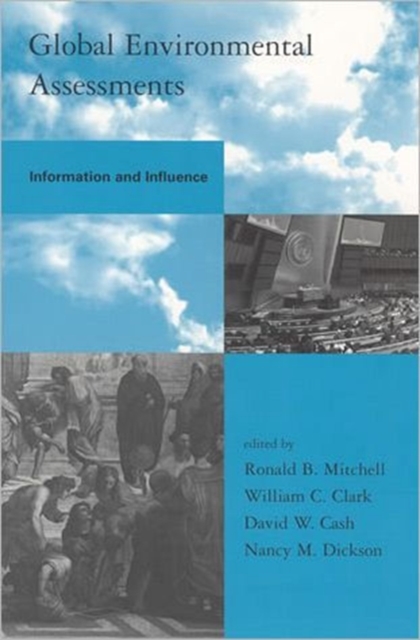Global Environmental Assessments : Information and Influence, Paperback / softback Book