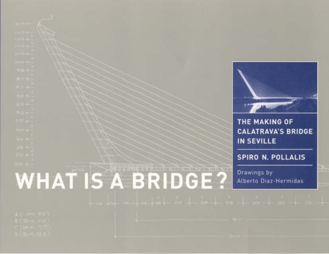 What Is a Bridge? : The Making of Calatrava's Bridge in Seville, Paperback / softback Book